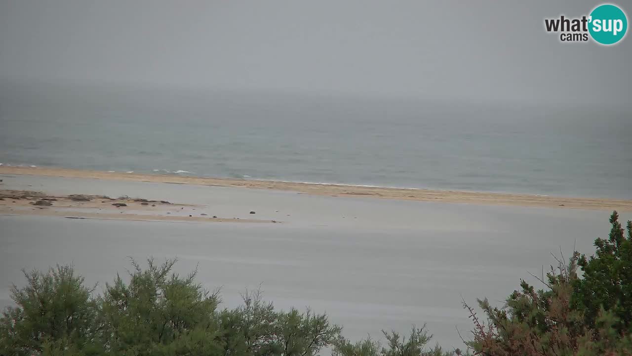 Webcam Chia – Live View of Su Giudeu Beach
