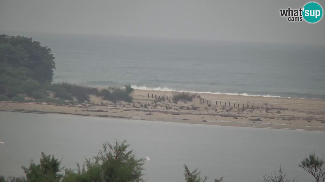 Webcam Chia – Live View of Su Giudeu Beach