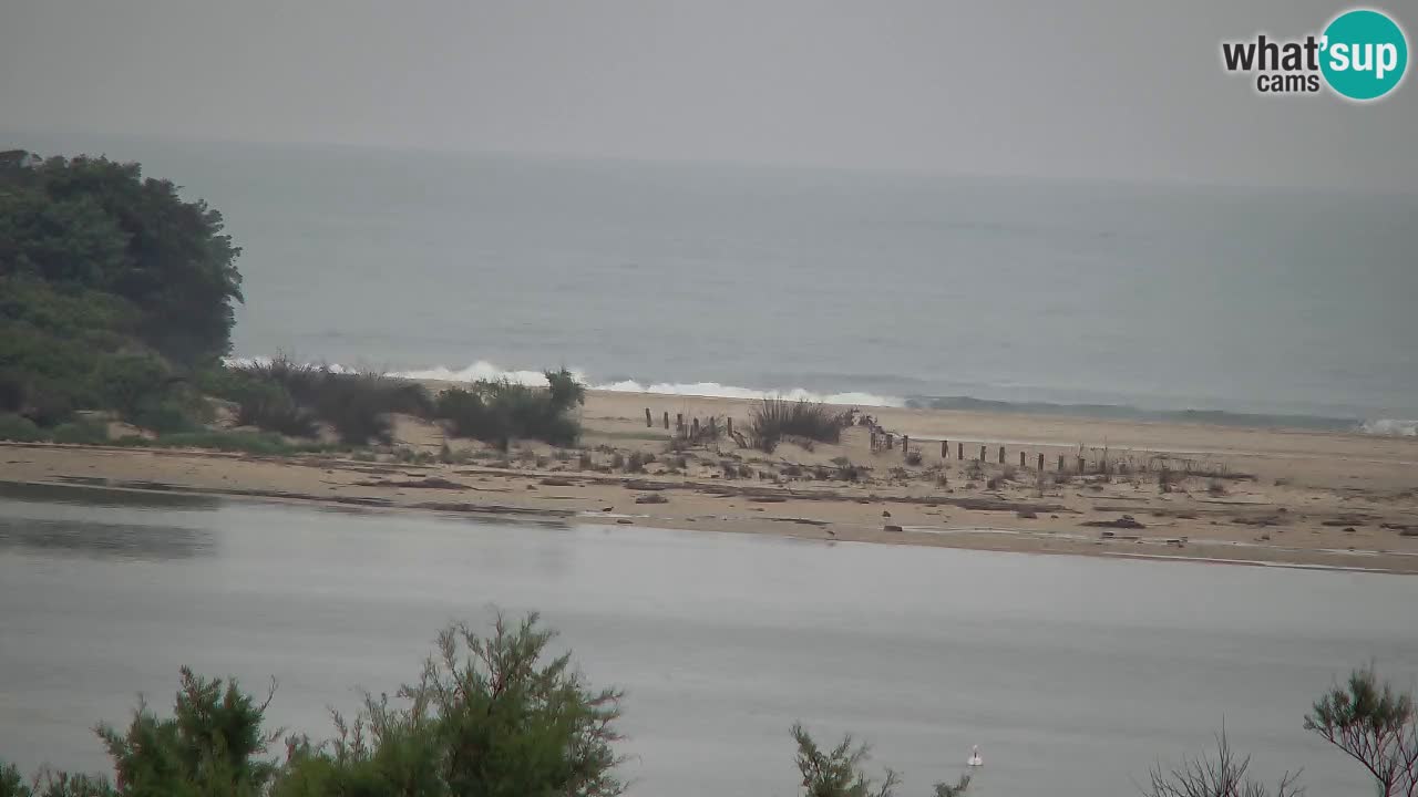 Webcam Chia – Live View of Su Giudeu Beach