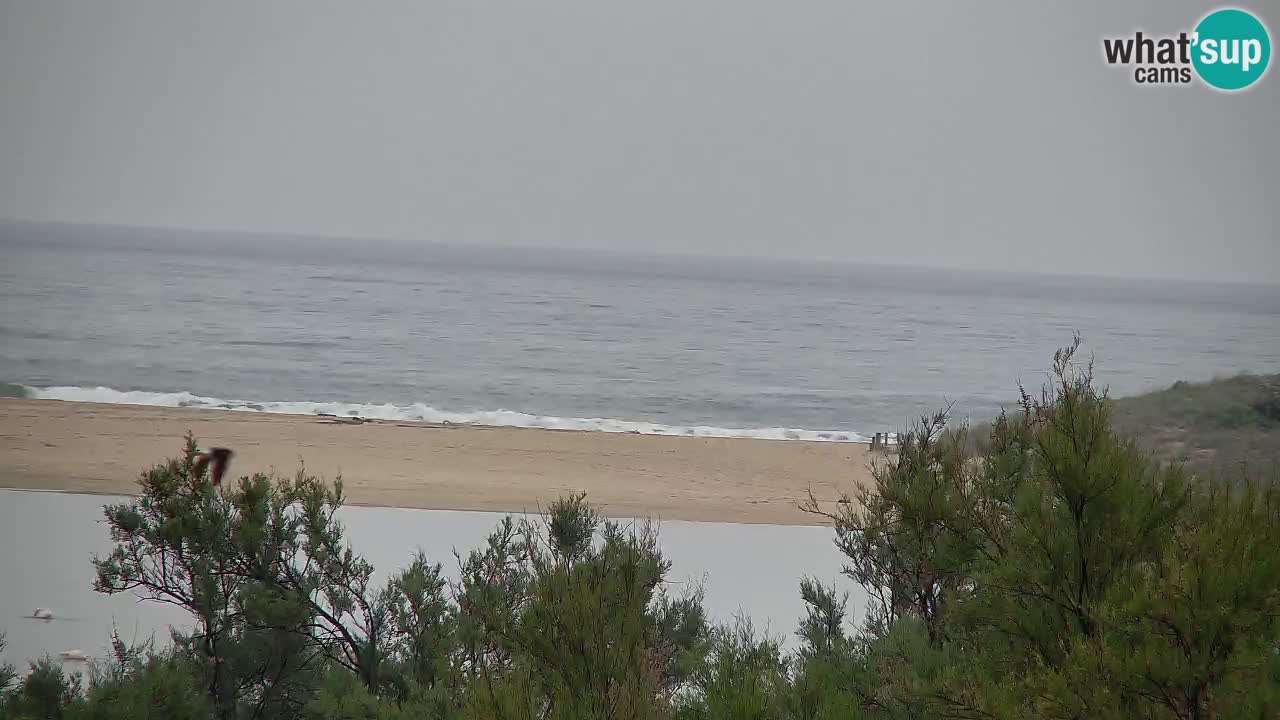 Webcam Chia – Vue en direct de la plage Su Giudeu