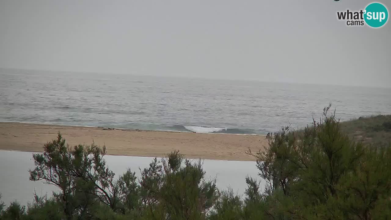 Webcam Chia – Vue en direct de la plage Su Giudeu