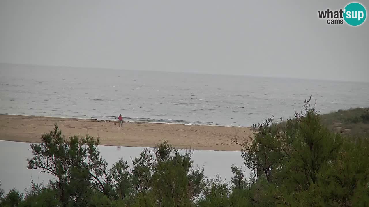 Webcam Chia – Live View of Su Giudeu Beach