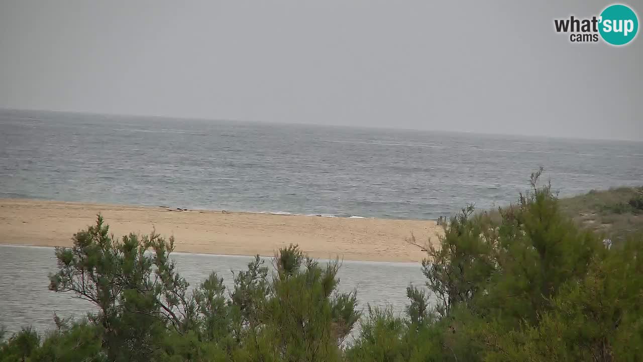Webcam Chia – Live View of Su Giudeu Beach