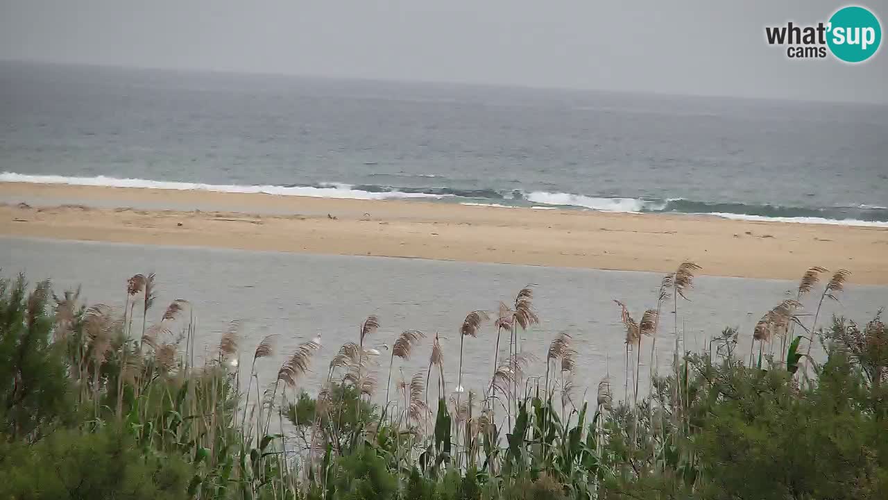 Webcam Chia – Vista en directo de la playa Su Giudeu
