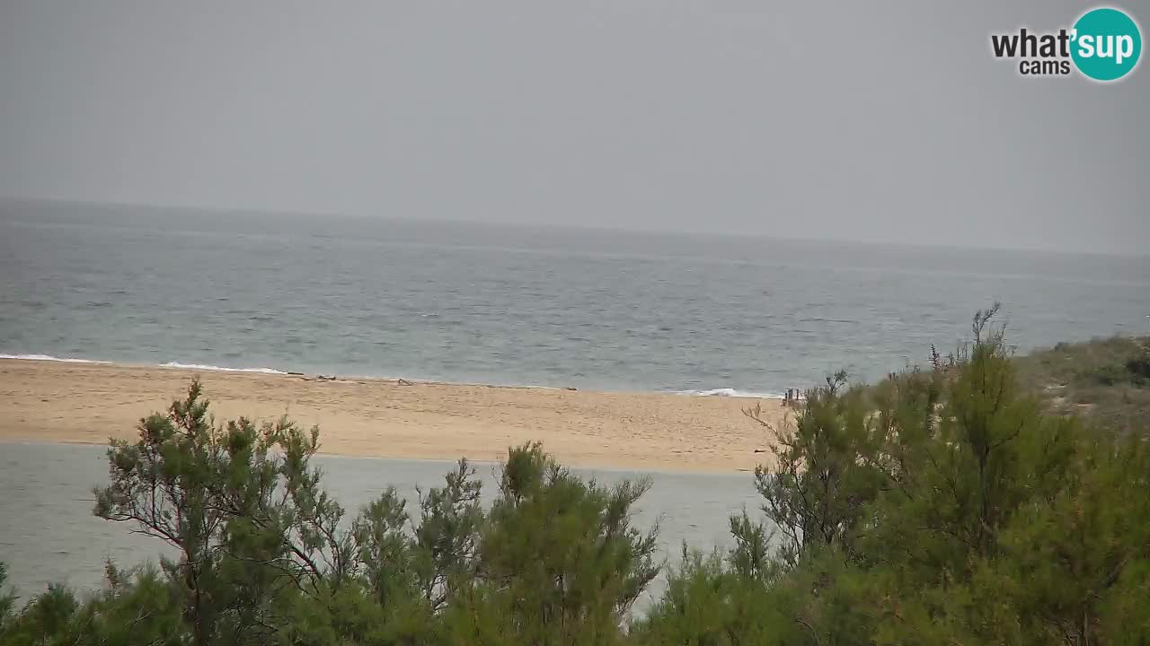 Webcam Chia – Live View of Su Giudeu Beach