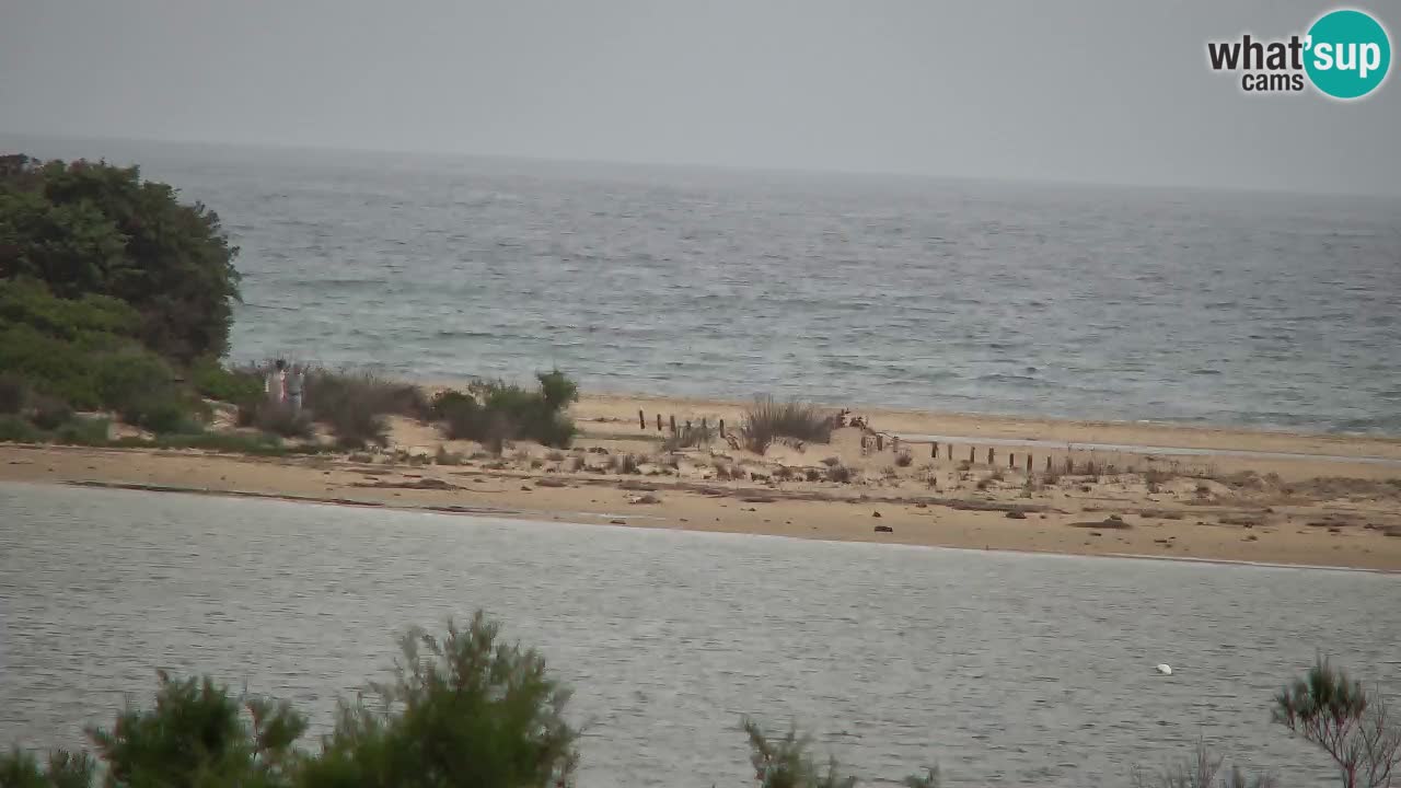 Webcam Chia – Live View of Su Giudeu Beach