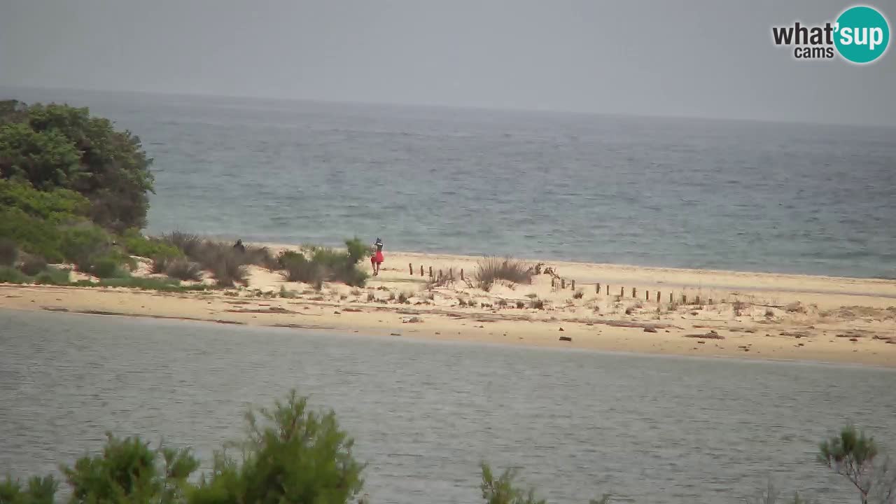 Webcam Chia – Live View of Su Giudeu Beach