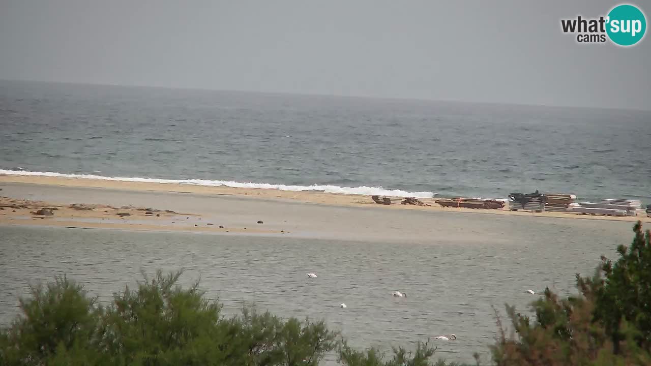 Webcam Chia – Vue en direct de la plage Su Giudeu