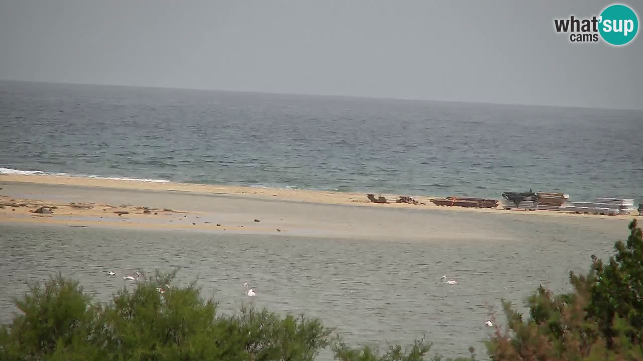 Webcam Chia – Spiaggia Su Giudeu in diretta