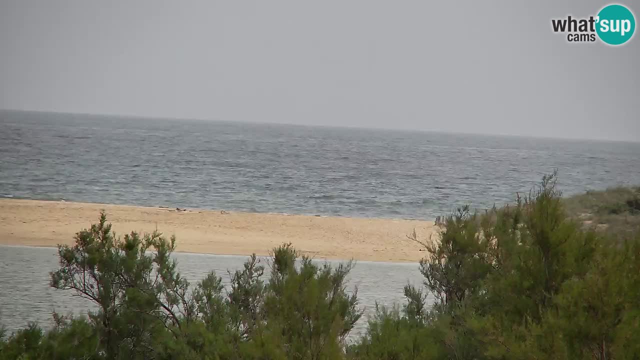 Webcam Chia – Live View of Su Giudeu Beach