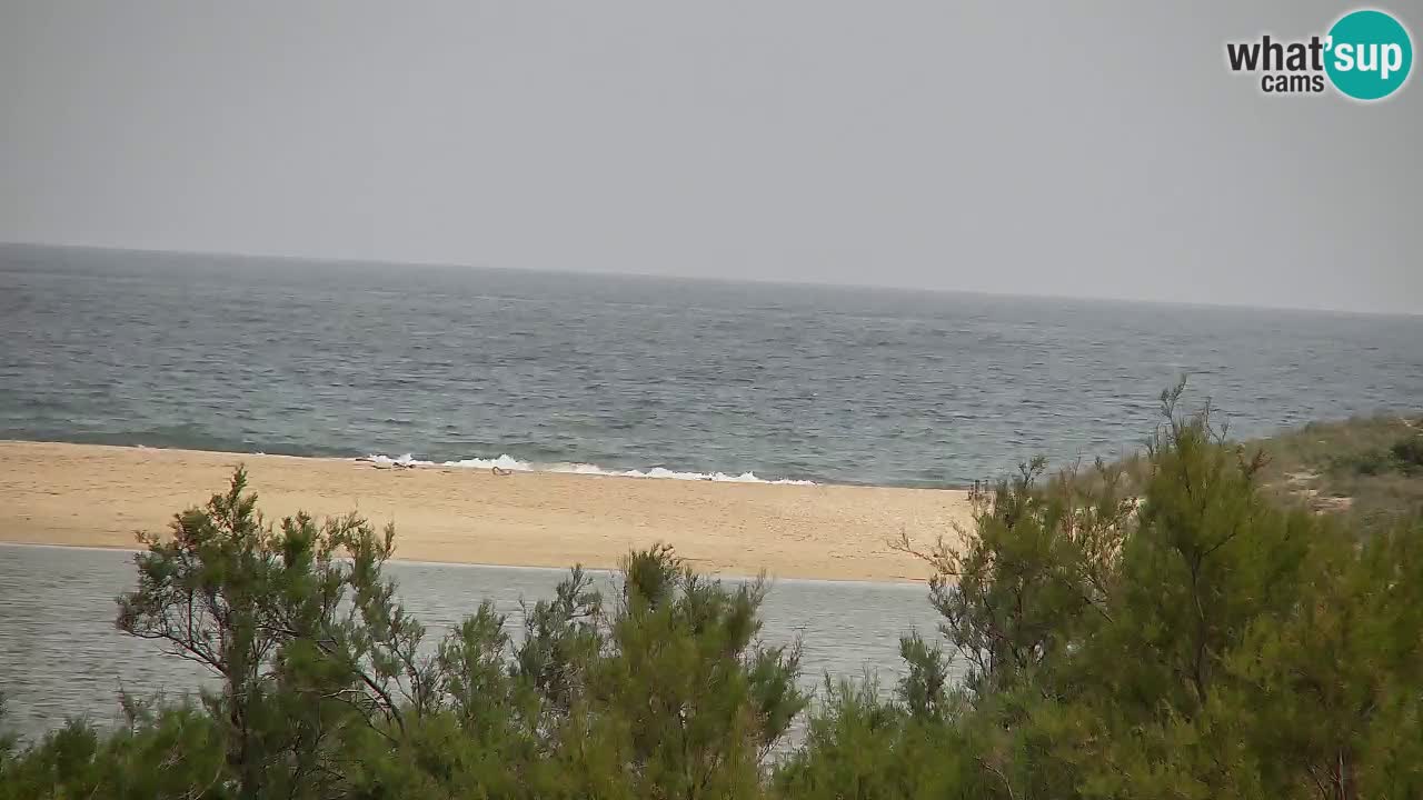 Webcam Chia – Live View of Su Giudeu Beach