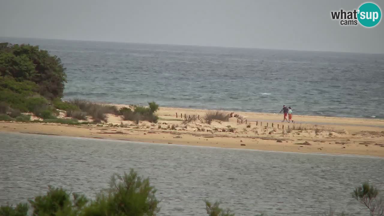 Webcam Chia – Live View of Su Giudeu Beach