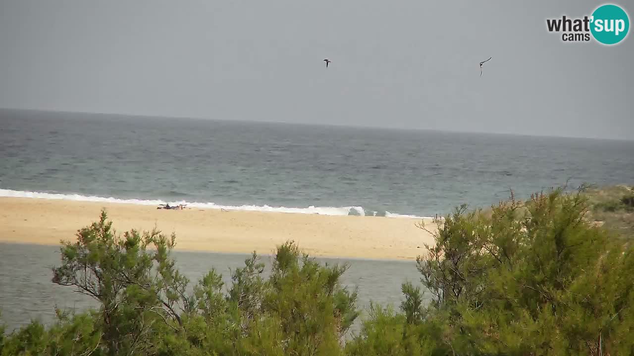 Webcam Chia – Live View of Su Giudeu Beach