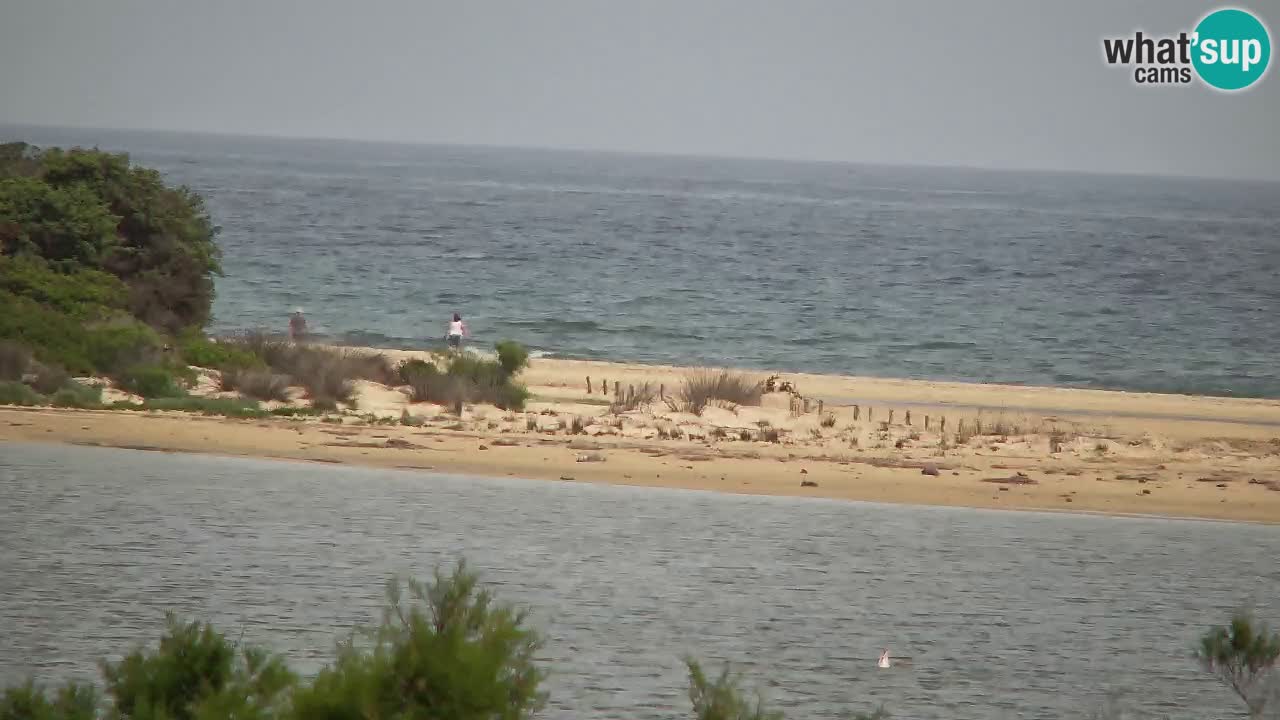 Spletna kamera Chia – Pogled v živo na plažo Su Giudeu