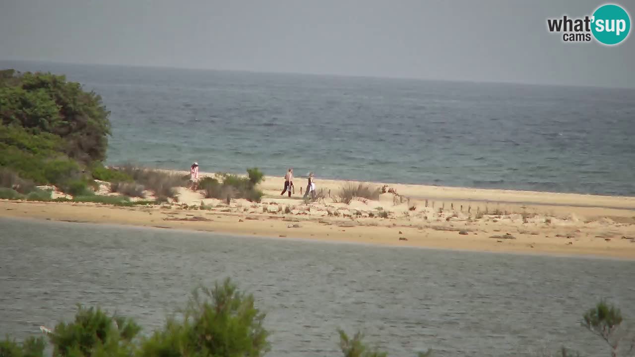 Webcam Chia – Live View of Su Giudeu Beach
