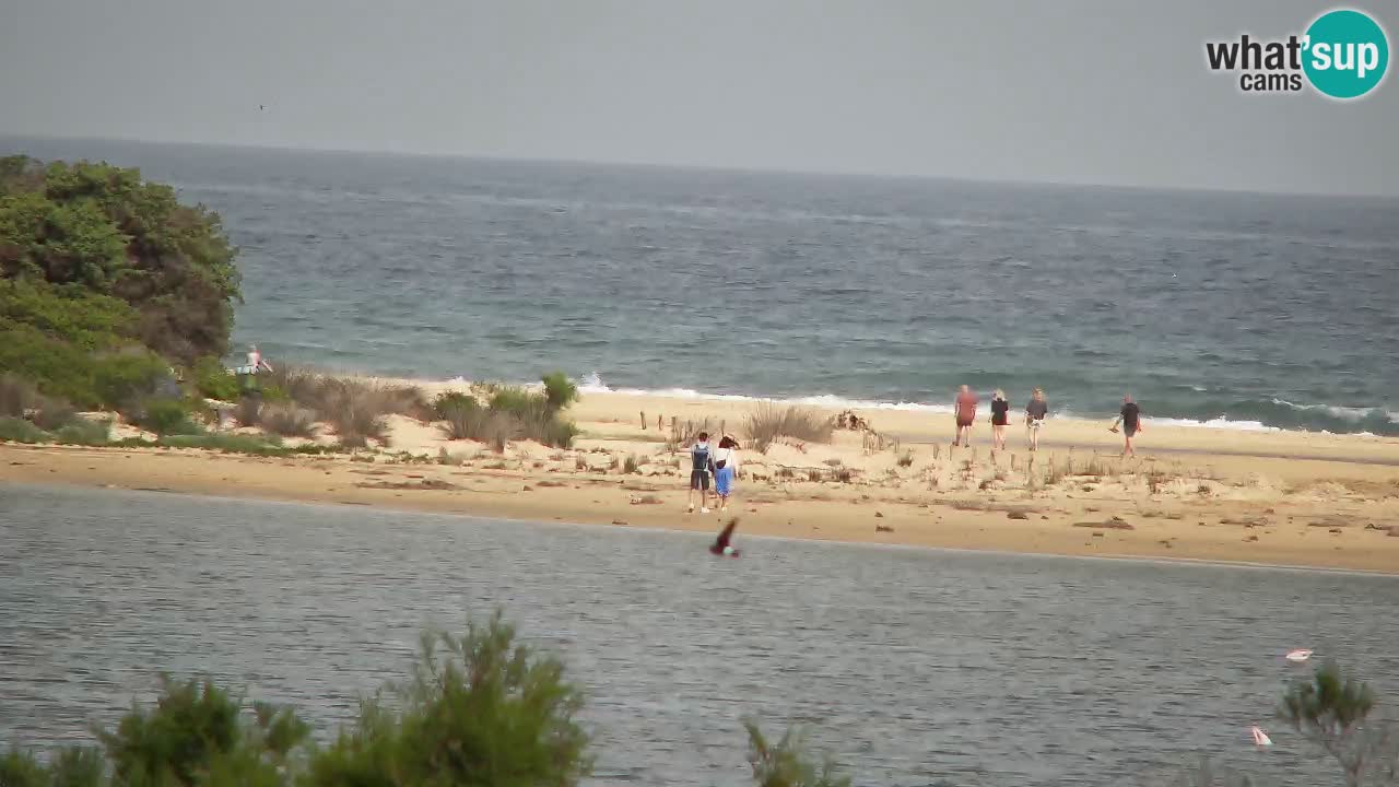 Webcam Chia – Live View of Su Giudeu Beach