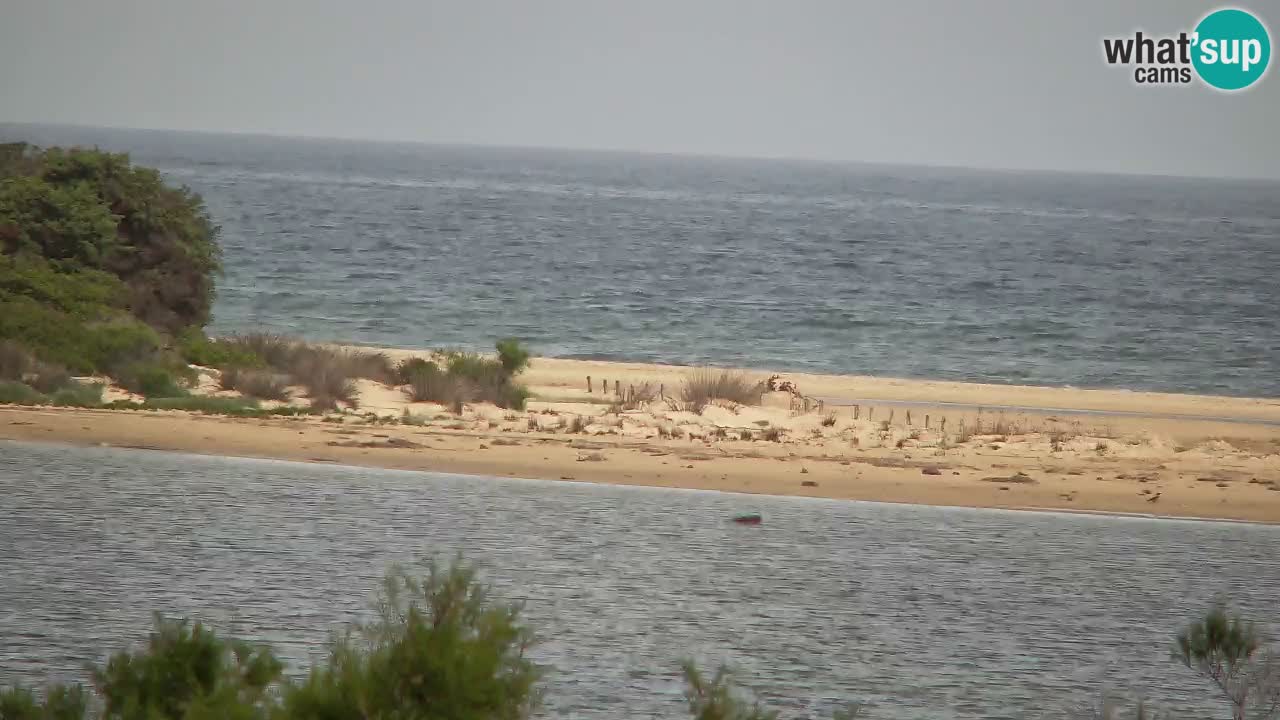 Webcam Chia – Live View of Su Giudeu Beach