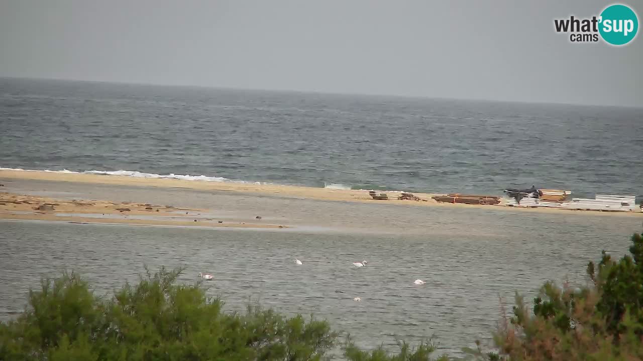 Spletna kamera Chia – Pogled v živo na plažo Su Giudeu