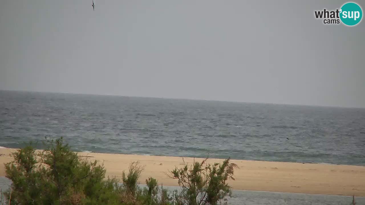 Webcam Chia – Live View of Su Giudeu Beach