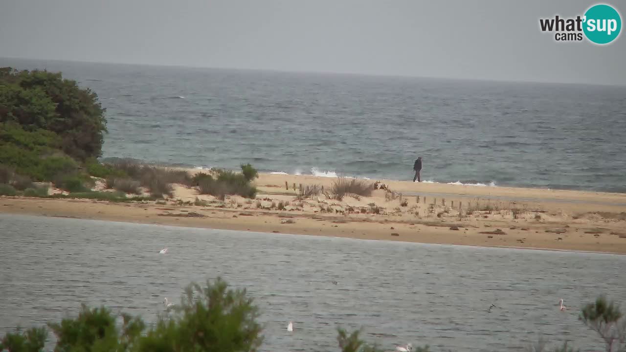 Webcam Chia – Live View of Su Giudeu Beach