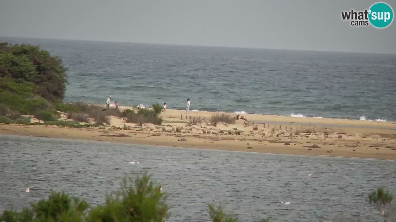 Webcam Chia – Spiaggia Su Giudeu in diretta