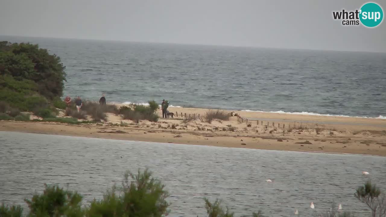 Webcam Chia – Spiaggia Su Giudeu in diretta