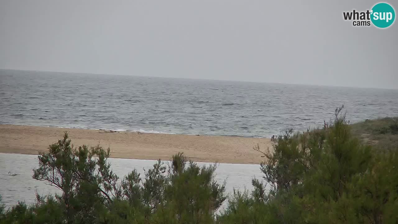 Webcam Chia – Live View of Su Giudeu Beach