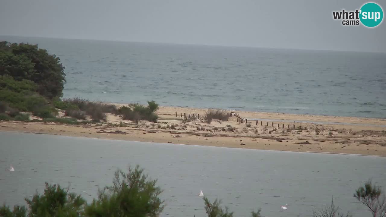 Webcam Chia – Vue en direct de la plage Su Giudeu