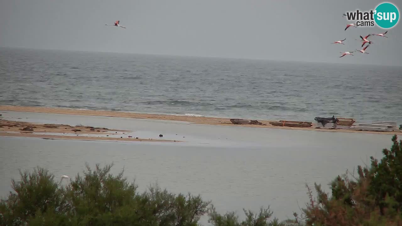 Webcam Chia – Liveblick auf den Strand Su Giudeu