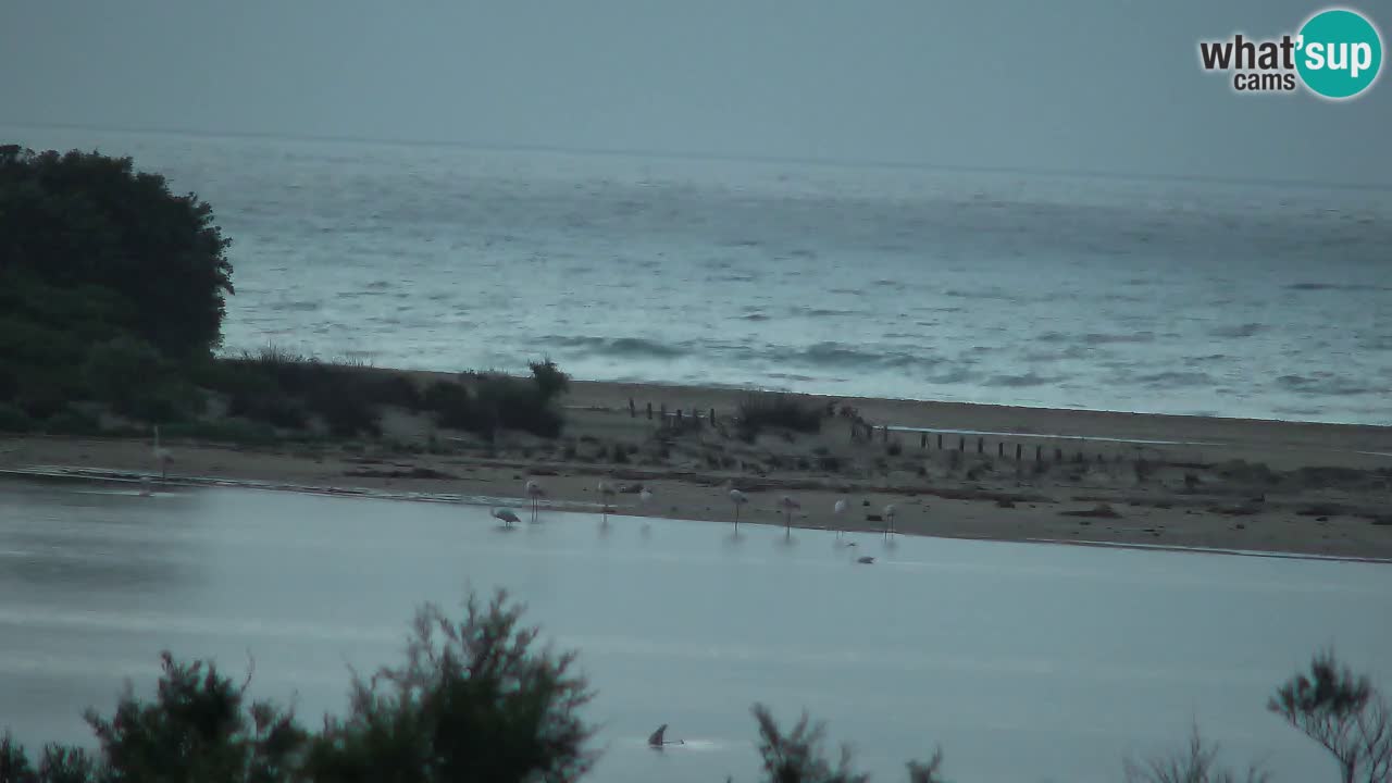 Webcam Chia – Vue en direct de la plage Su Giudeu