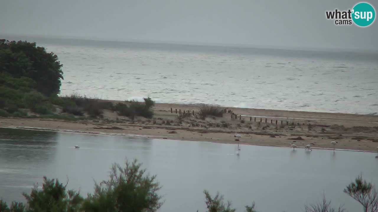 Webcam Chia – Vista en directo de la playa Su Giudeu