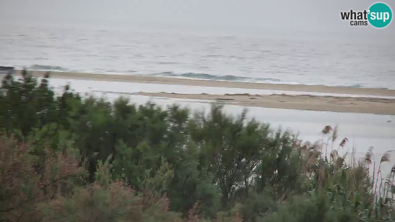 Spletna kamera Chia – Pogled v živo na plažo Su Giudeu