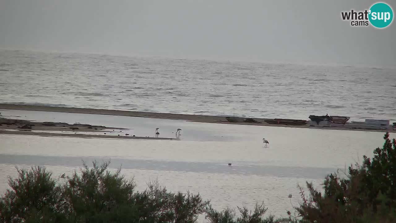 Webcam Chia – Live View of Su Giudeu Beach