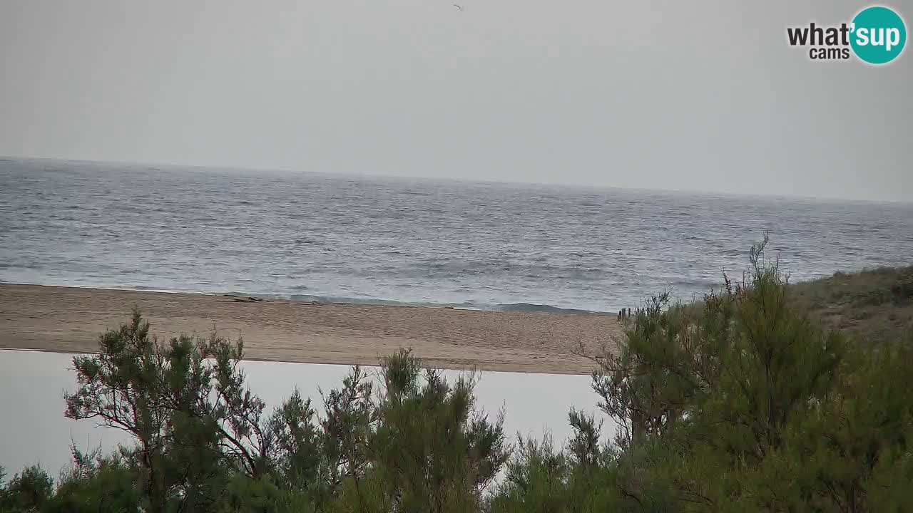 Webcam Chia – Live View of Su Giudeu Beach