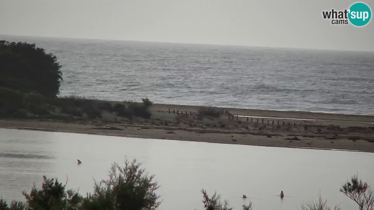Webcam Chia – Liveblick auf den Strand Su Giudeu