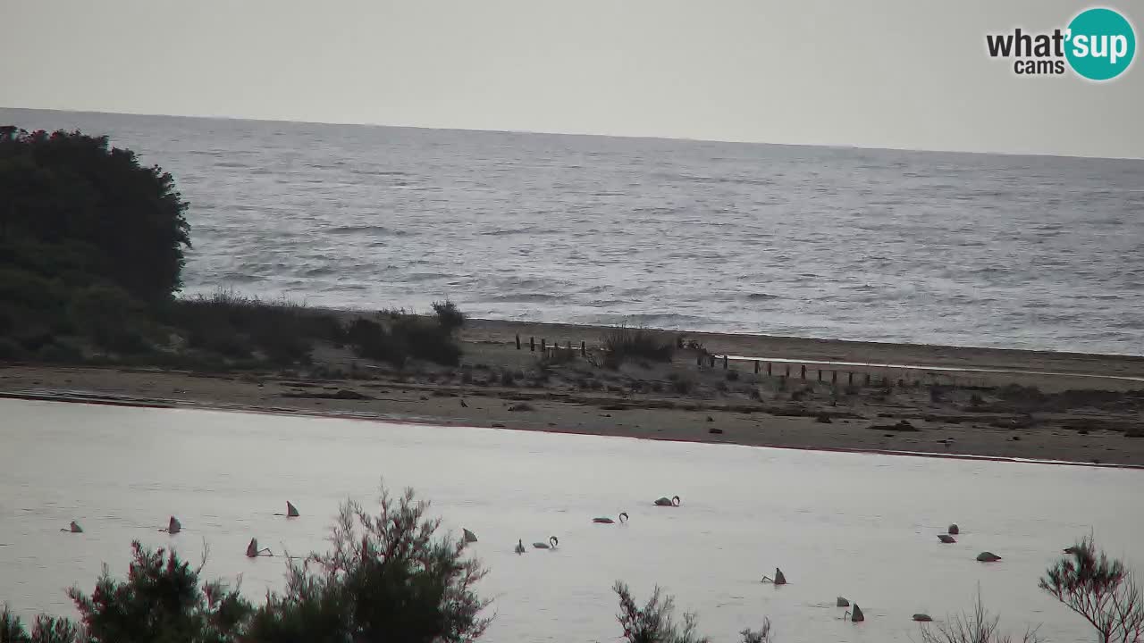 Webcam Chia – Vue en direct de la plage Su Giudeu