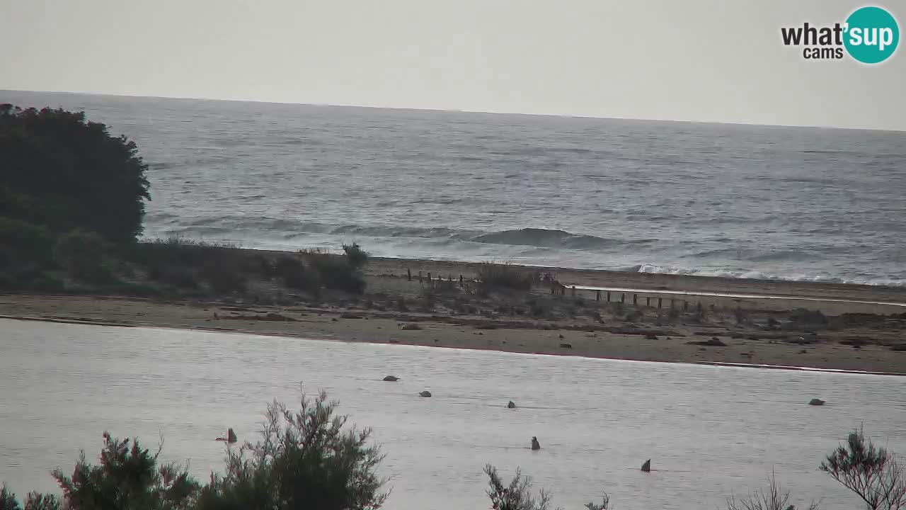 Webcam Chia – Live View of Su Giudeu Beach