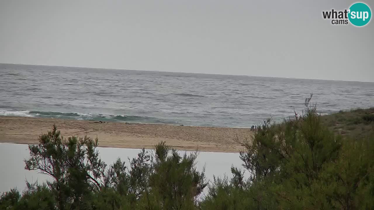 Webcam Chia – Liveblick auf den Strand Su Giudeu