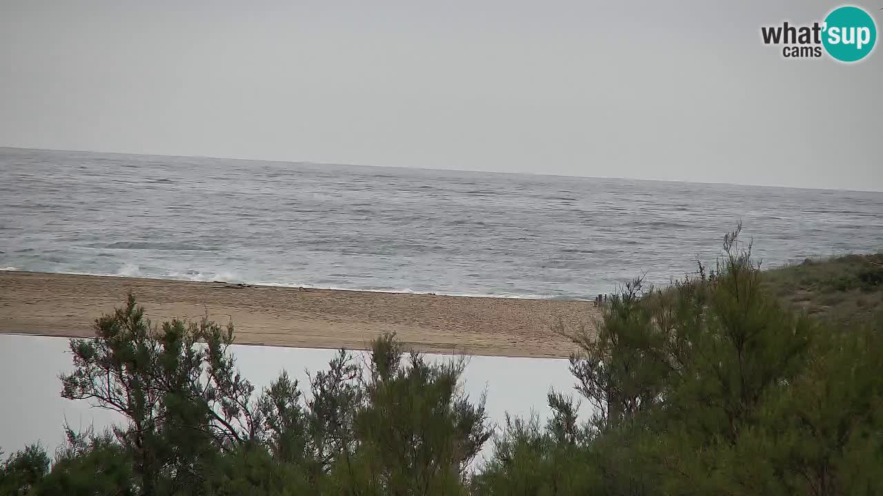 Webcam Chia – Live View of Su Giudeu Beach