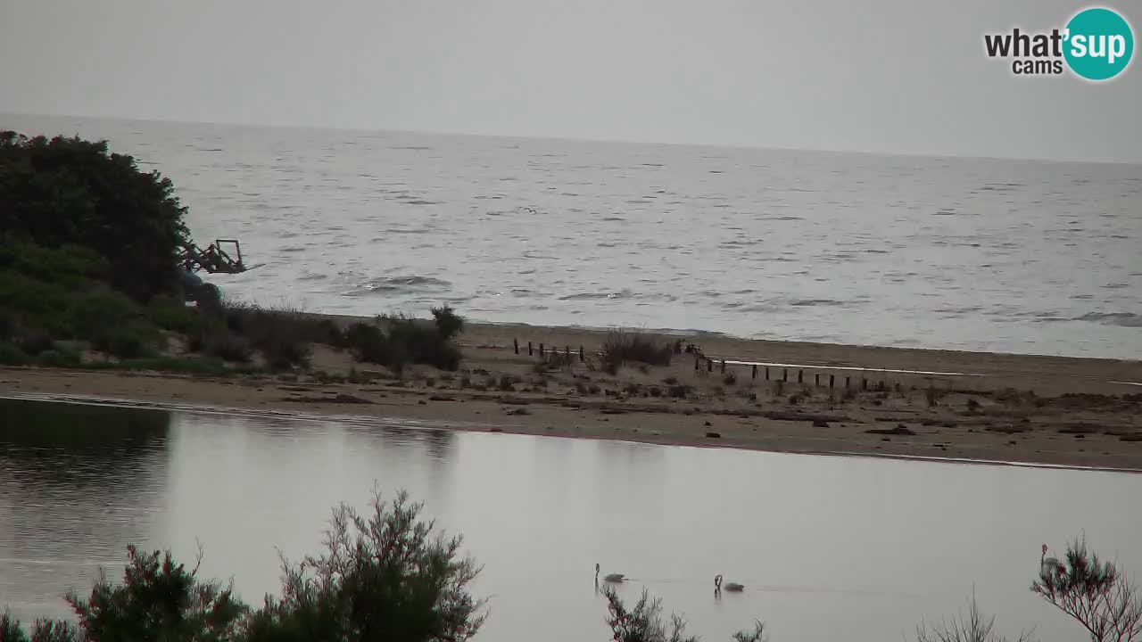 Webcam Chia – Live View of Su Giudeu Beach