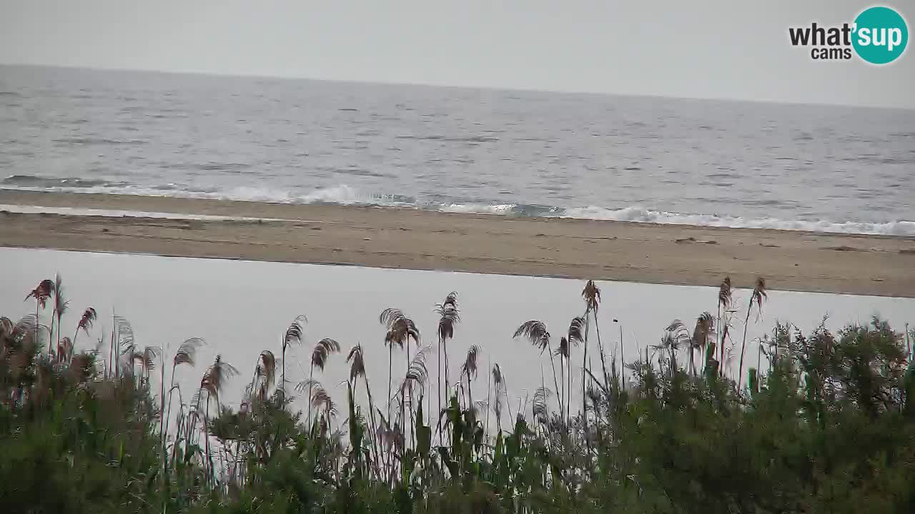 Webcam Chia – Vue en direct de la plage Su Giudeu