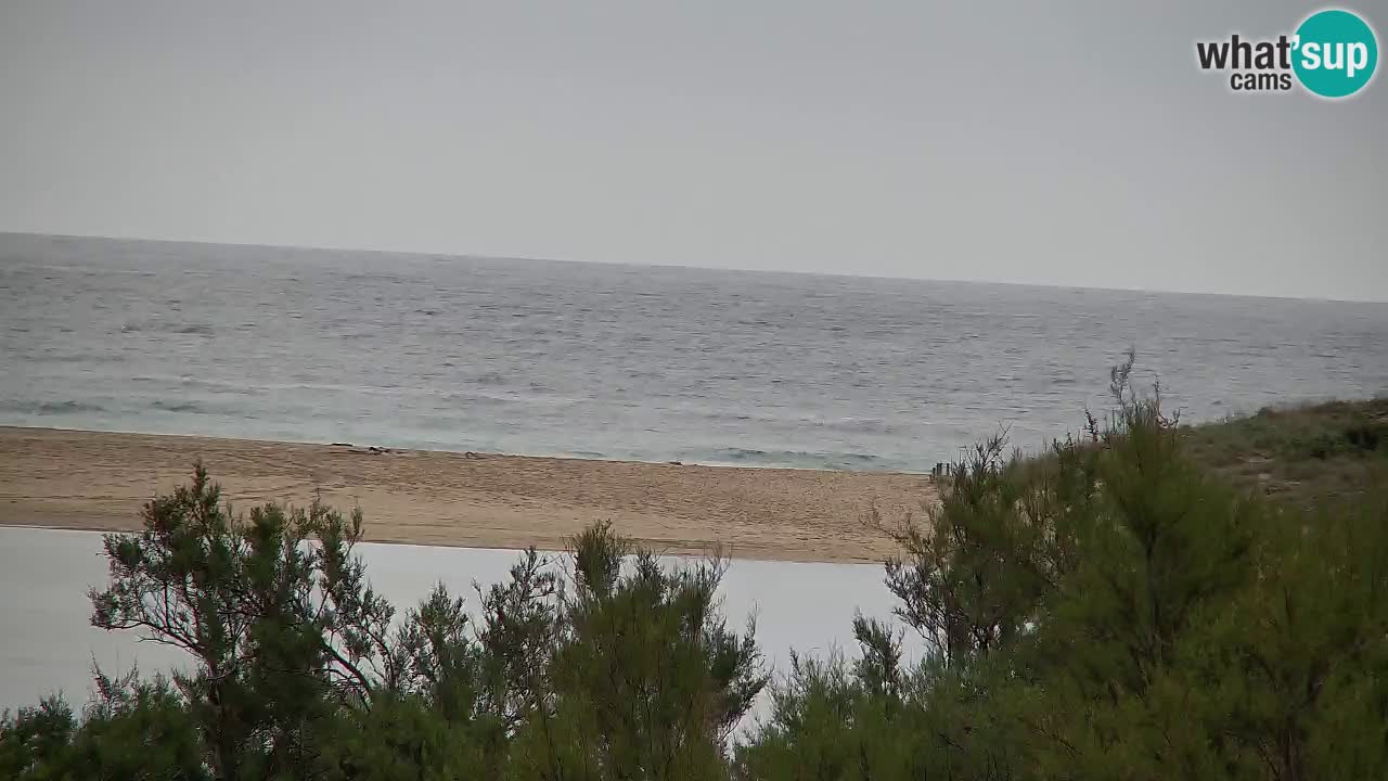 Webcam Chia – Vue en direct de la plage Su Giudeu