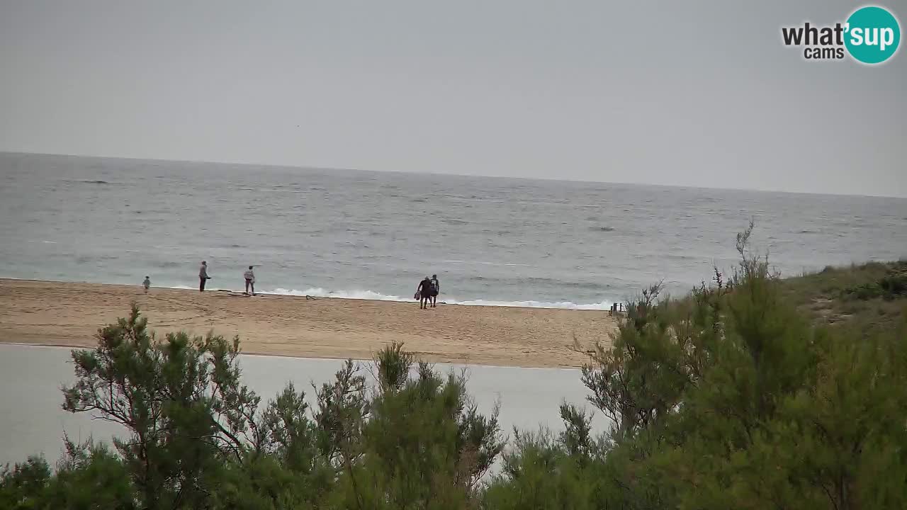 Webcam Chia – Vue en direct de la plage Su Giudeu