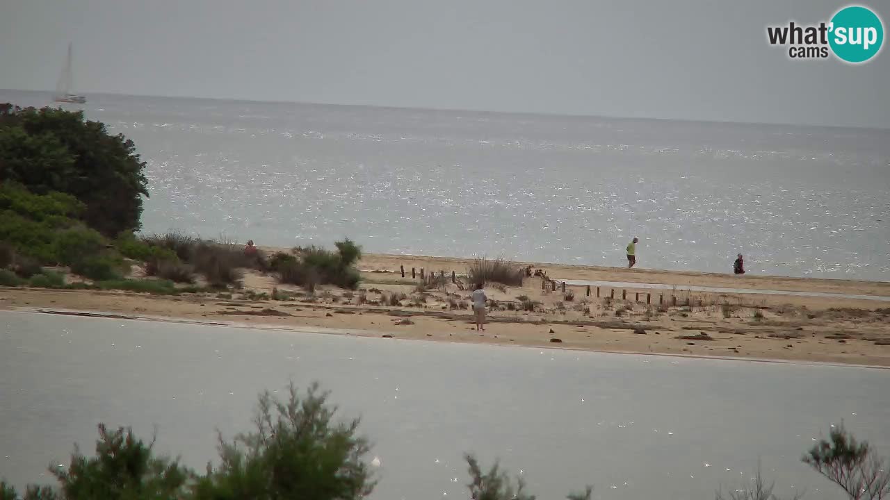 Webcam Chia – Live View of Su Giudeu Beach