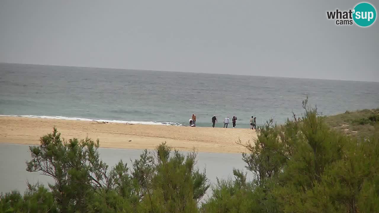 Webcam Chia – Live View of Su Giudeu Beach