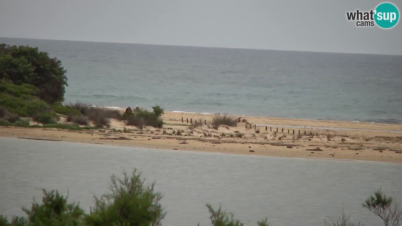 Webcam Chia – Spiaggia Su Giudeu in diretta