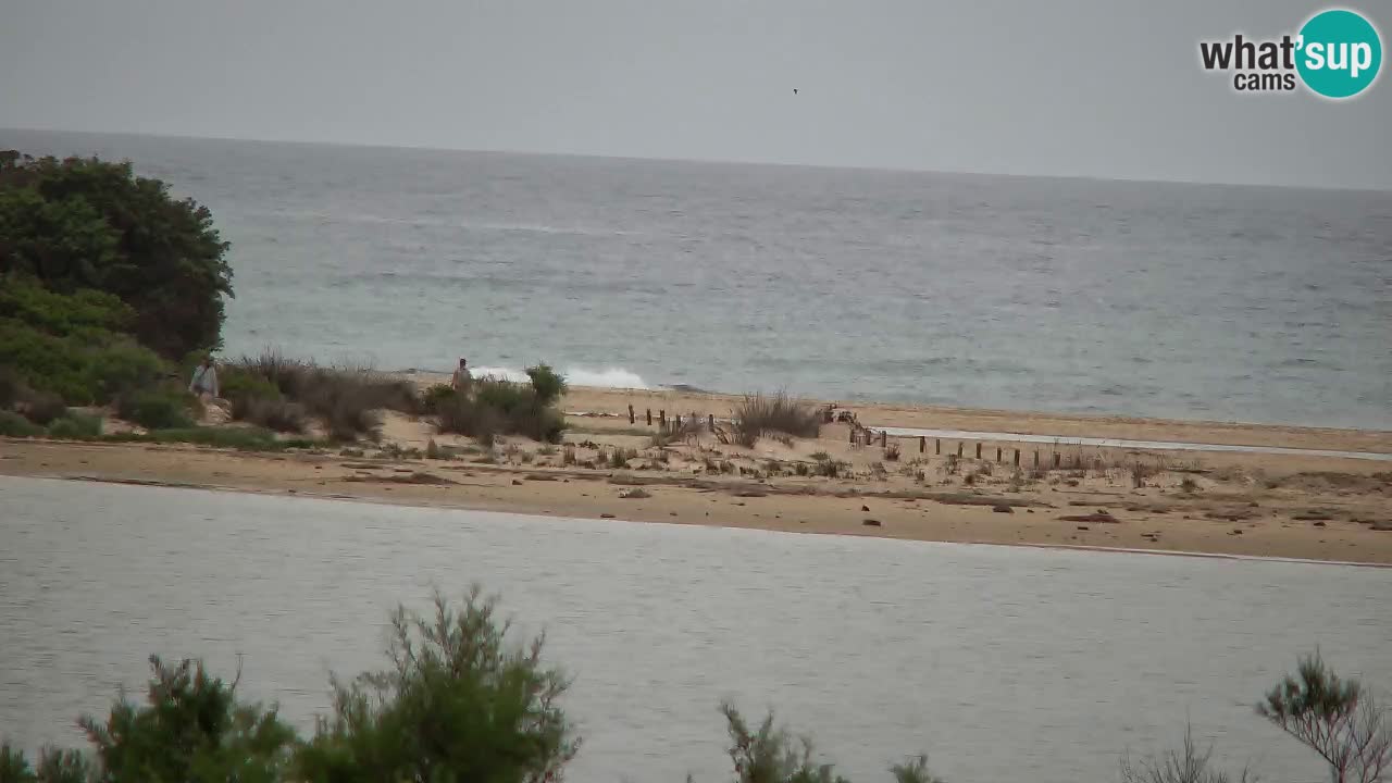 Webcam Chia – Live View of Su Giudeu Beach