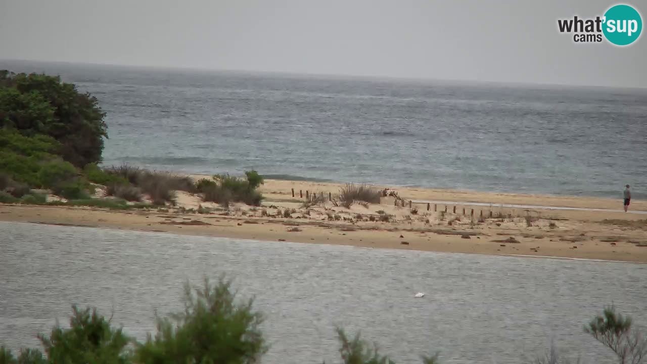 Webcam Chia – Live View of Su Giudeu Beach