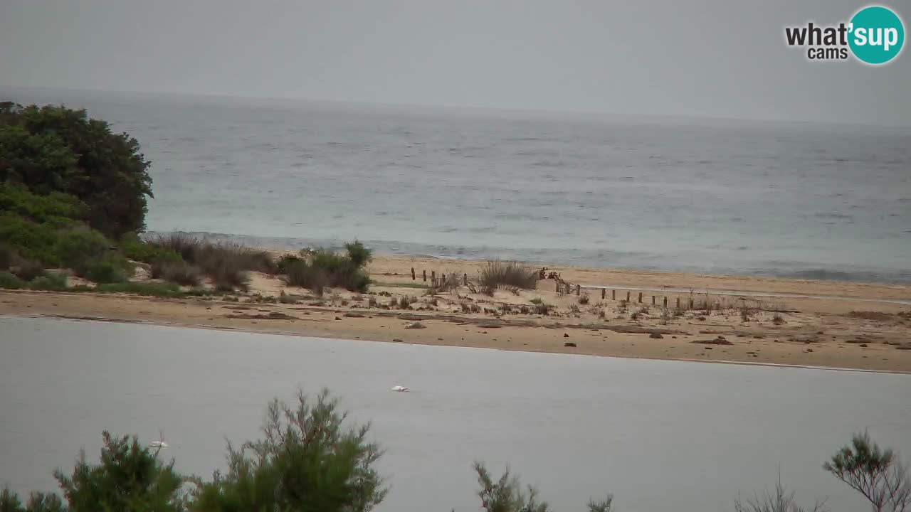 Webcam Chia – Vista en directo de la playa Su Giudeu