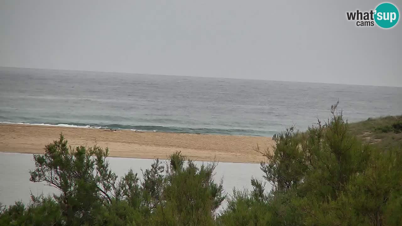 Webcam Chia – Live View of Su Giudeu Beach